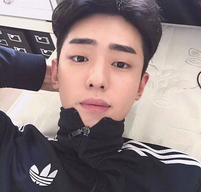 丁风聪曼