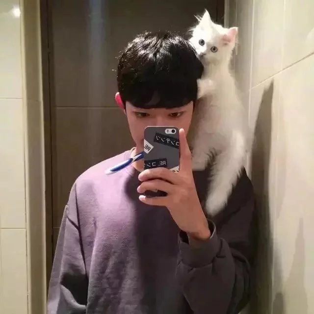 沈彦萍婕