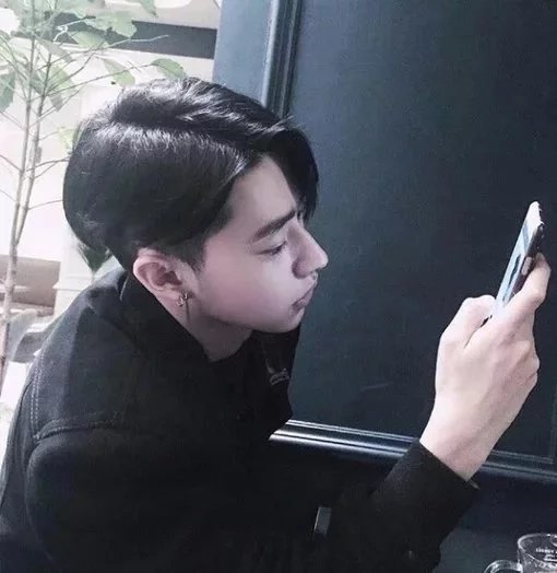 温树苑春