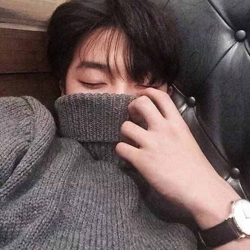 司紫磊香