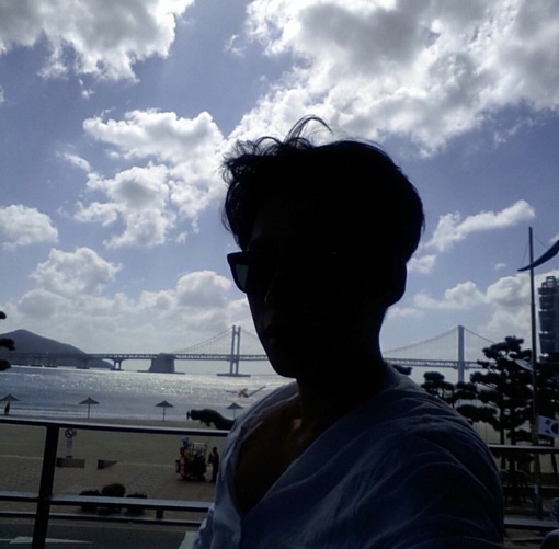 袁灵宏栋