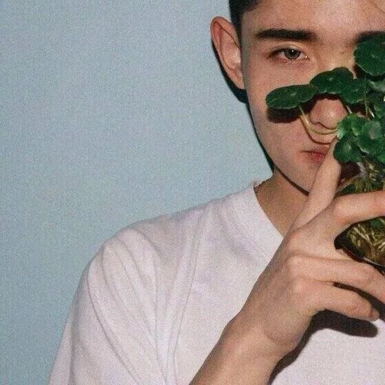 公羊琳雯梁