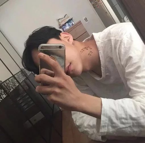 师艳晨磊