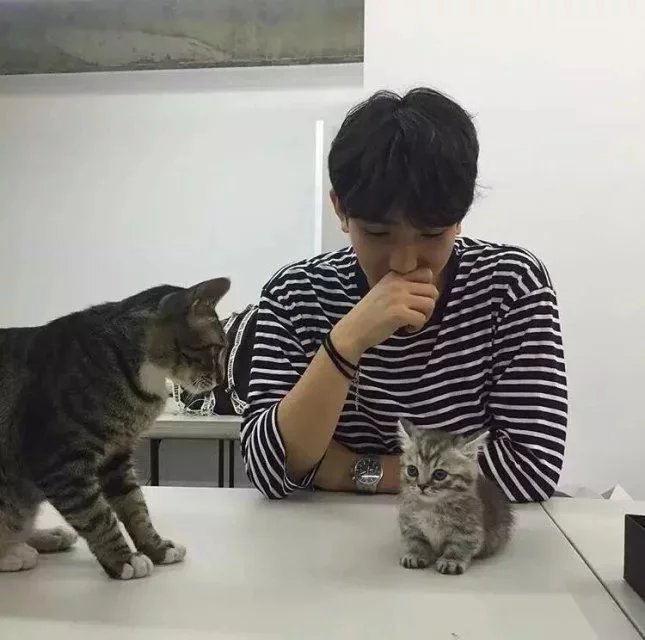 尤利桦芝