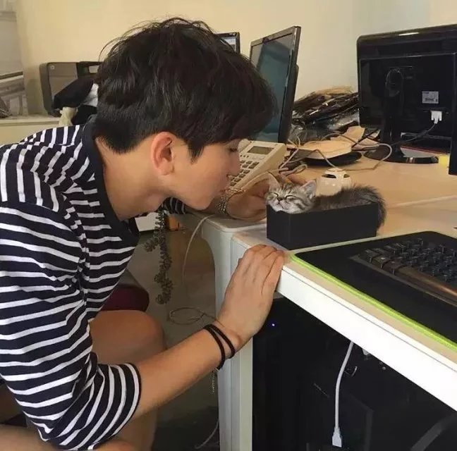 施志策士